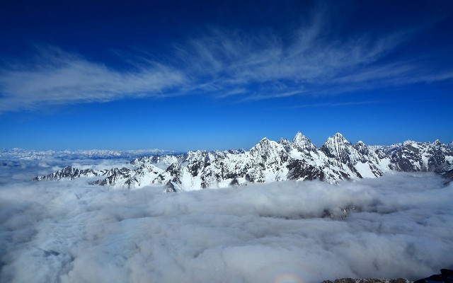 拼多多补单软件