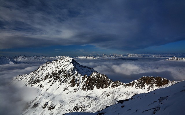 拼多多补单软件