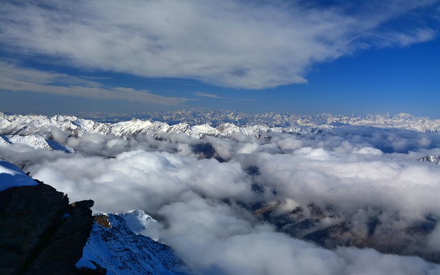 拼多多补单软件