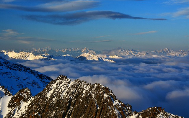 拼多多补单软件