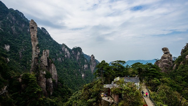 拼多多补单软件