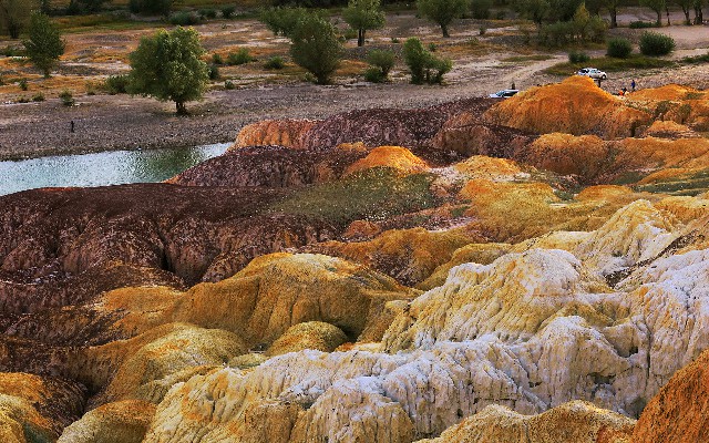 拼多多补单软件
