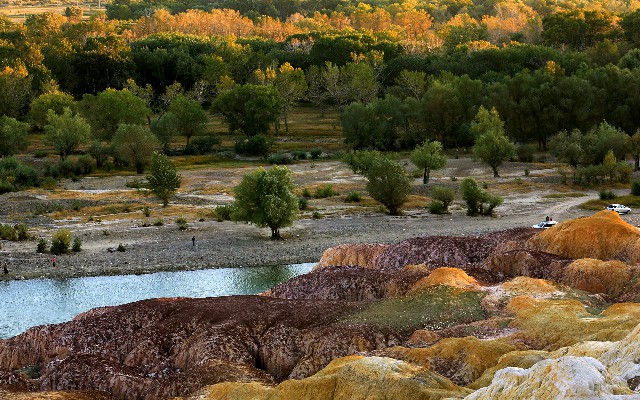 拼多多补单软件