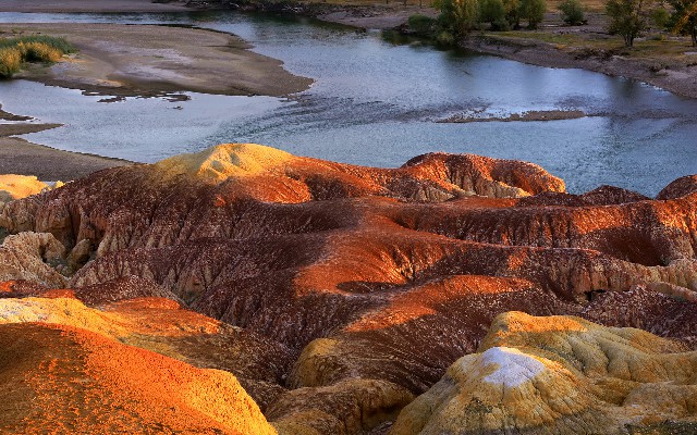 拼多多补单软件