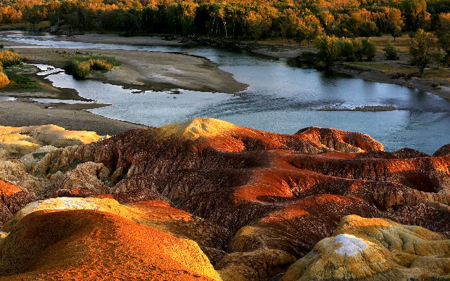 拼多多补单软件