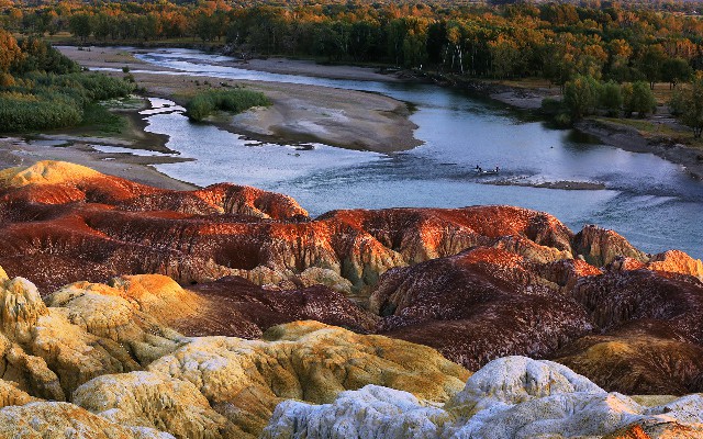 拼多多补单软件