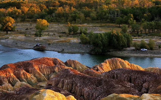 拼多多补单软件