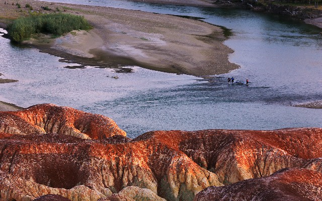 拼多多补单软件