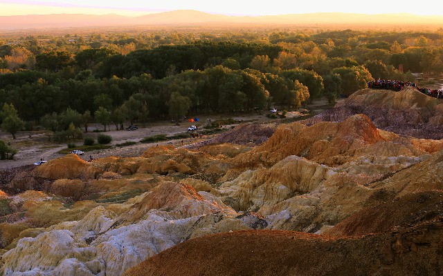 拼多多补单软件