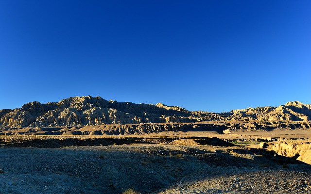 拼多多补单软件