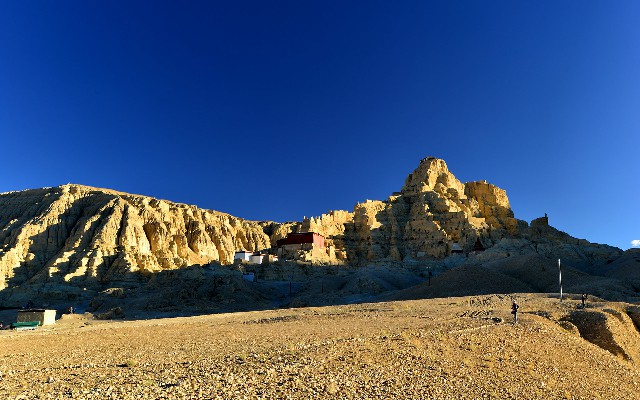 拼多多补单软件