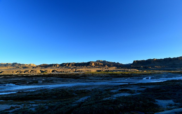 拼多多补单软件