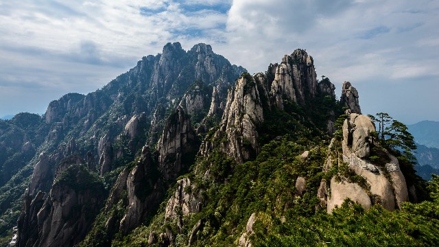 拼多多补单软件