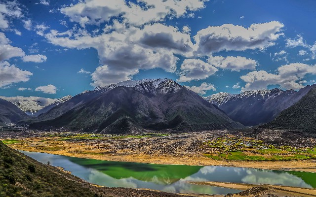 拼多多补单软件