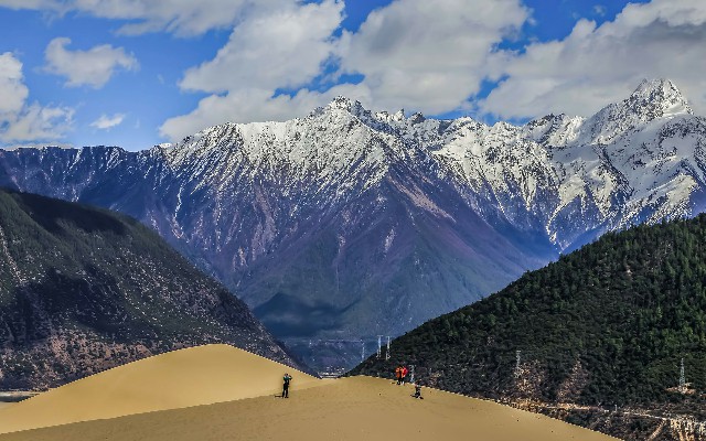 拼多多补单软件