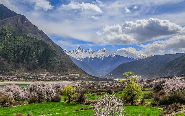 拼多多补单软件