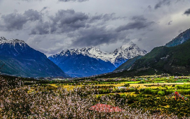 拼多多补单软件
