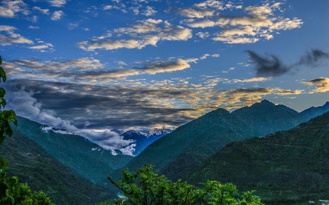 拼多多补单软件