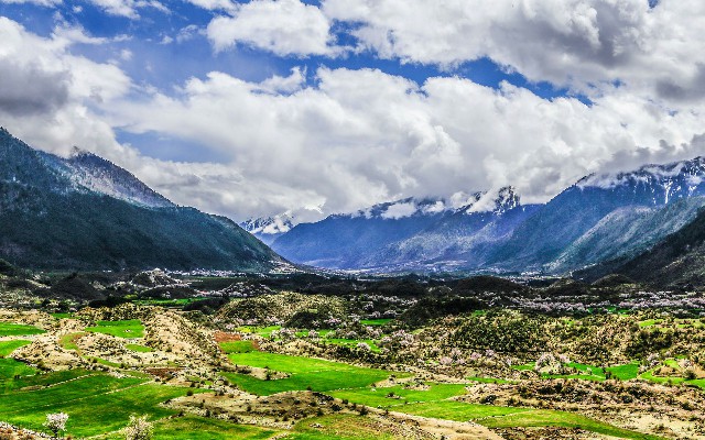 拼多多补单软件