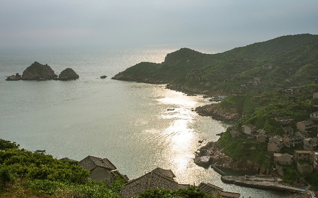 拼多多补单软件