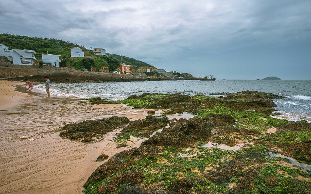 拼多多补单软件