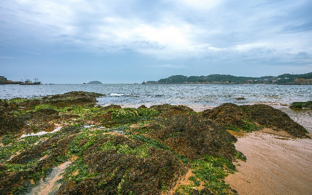 拼多多补单软件