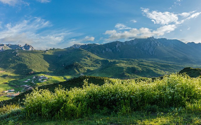 拼多多补单软件