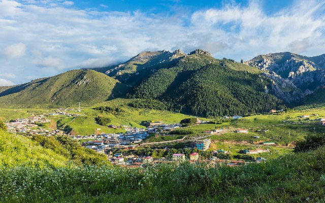 拼多多补单软件