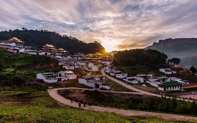 拼多多补单软件