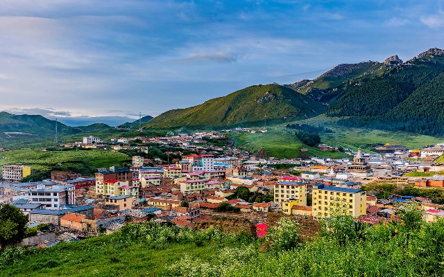 拼多多补单软件