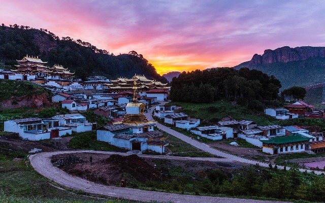 拼多多补单软件