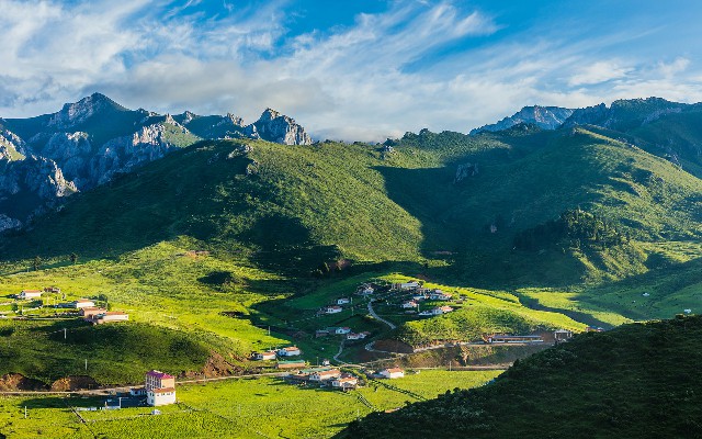 拼多多补单软件