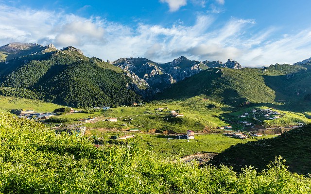 拼多多补单软件