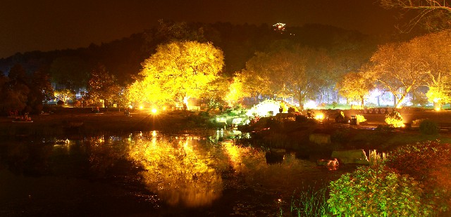 拼多多补单软件