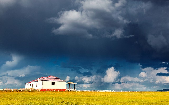 拼多多补单软件