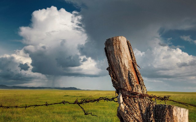 拼多多补单软件