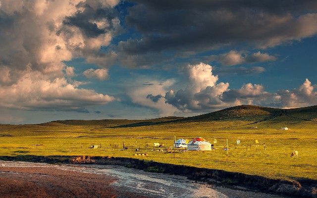 拼多多补单软件