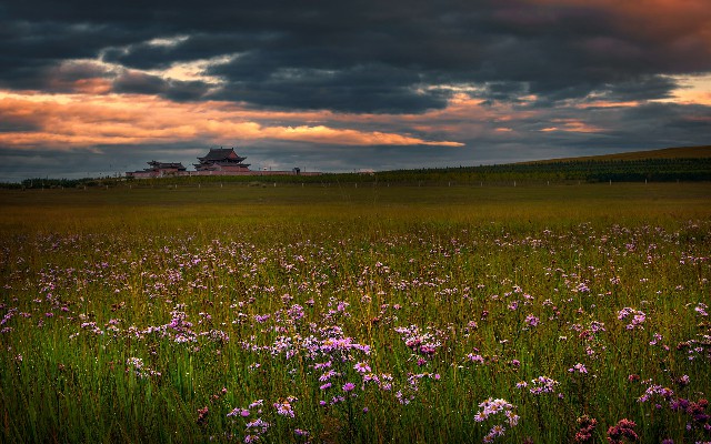 拼多多补单软件
