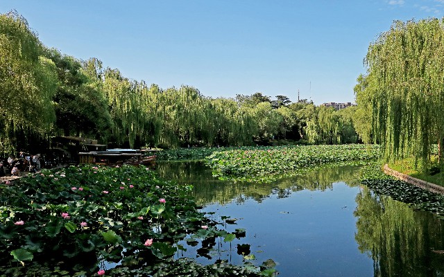 拼多多补单软件