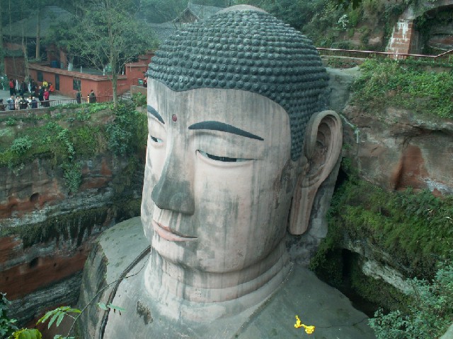 拼多多补单软件