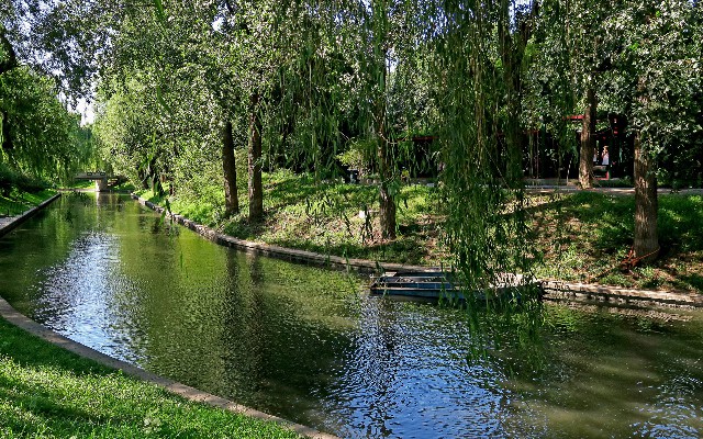 拼多多补单软件