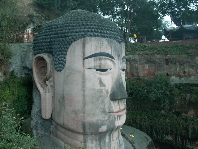 拼多多补单软件