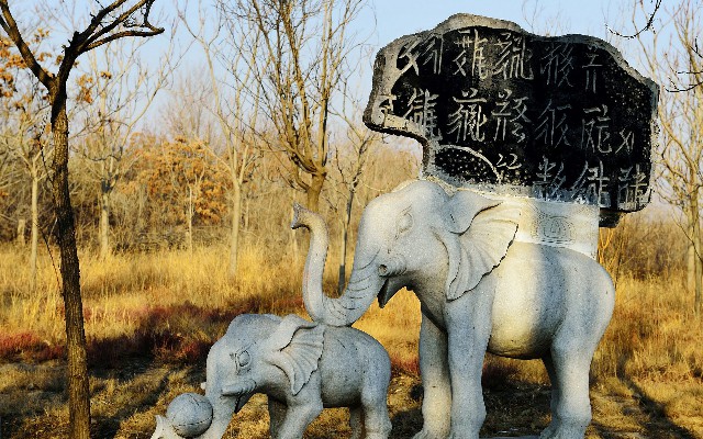 拼多多补单软件