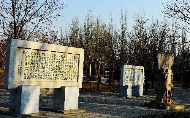 拼多多补单软件