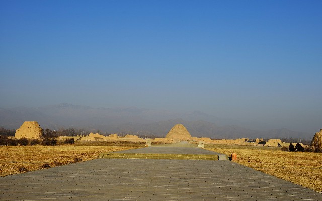 拼多多补单软件