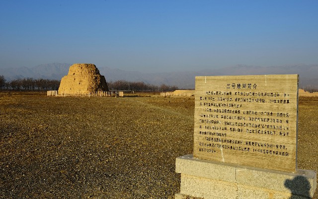 拼多多补单软件