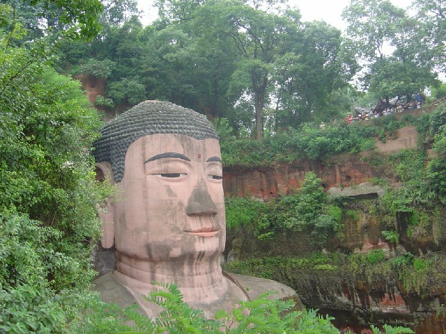 拼多多补单软件