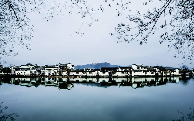 拼多多补单软件