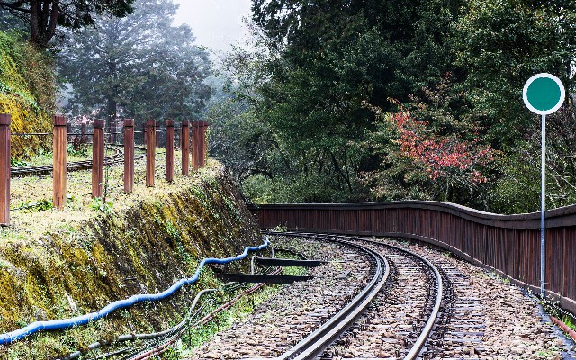 拼多多补单软件