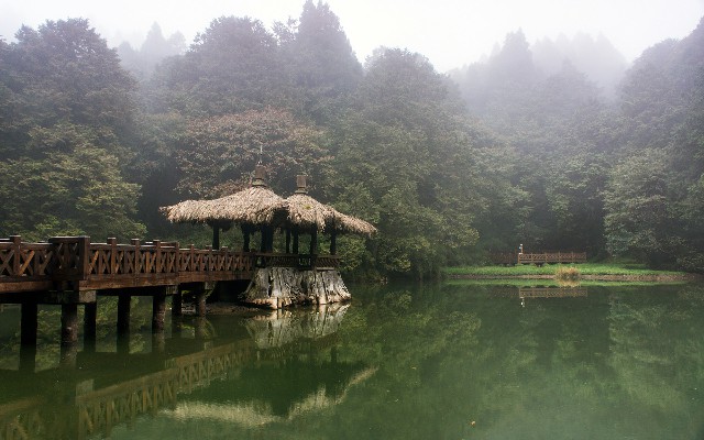 拼多多补单软件